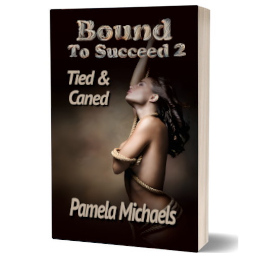 Bound to Succeed 2 - Tied and caned
